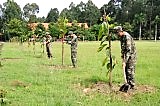 Sư Đoàn 7, Quân đoàn 4 trồng cây gây rừng, bảo vệ môi trường