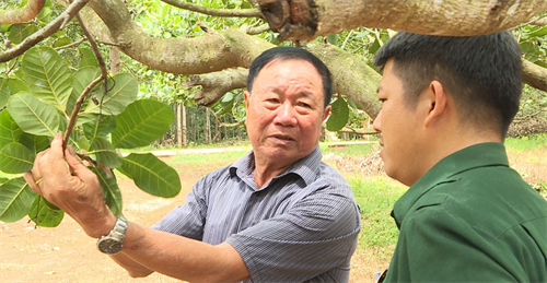 Cựu chiến binh Phạm Tuấn Ninh trên trận tuyến chống đói nghèo