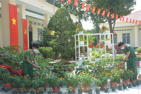 LLVT tỉnh Tây Ninh trồng hoa chuẩn bị đón tết