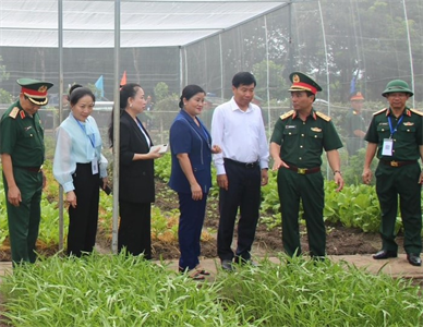 Bảo đảm công tác hậu cần trong xây dựng khu vực phòng thủ tỉnh Bình Phước