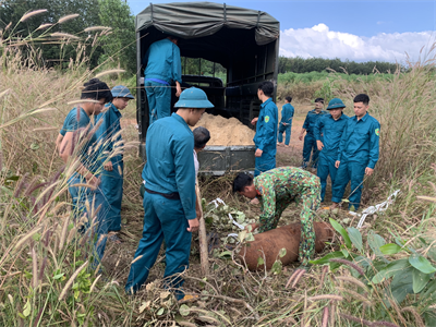 Ban CHQS huyện Đồng Phú, tỉnh Bình Phước thu gom 2 quả bom còn sót lại sau chiến tranh