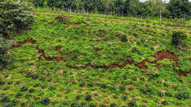 Tỉnh Lâm Đồng: Hoàn thành di dời hộ dân trước nguy cơ sạt lở
