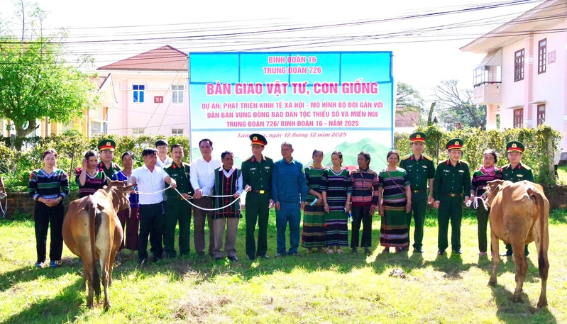 Trung đoàn 726 (Binh đoàn 16) trao bò giống hỗ trợ người dân 