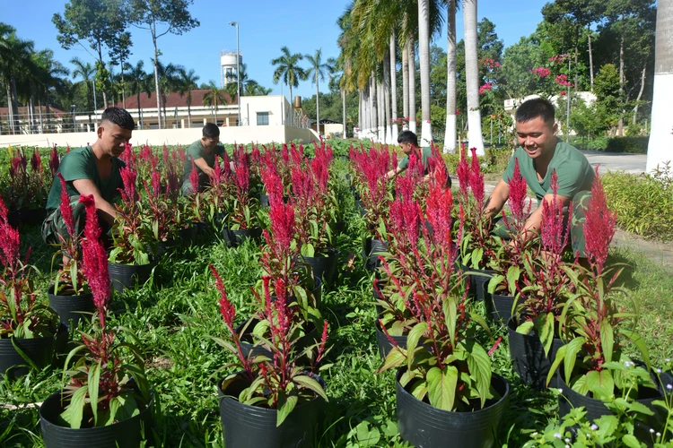 Tiểu đoàn 14, Trung đoàn 174 xây “ngôi nhà chung” sáng - xanh - sạch - đẹp