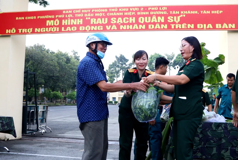 Mô hình “Rau sạch quân sự” Ban chỉ huy Phòng thủ khu vực 2 - Phú Lợi
