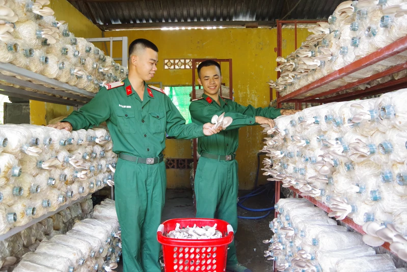 Từ kho doanh trại cũ đến vườn nấm sạch