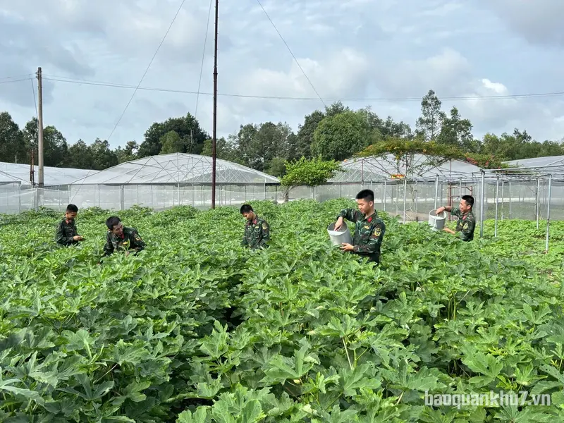 Đẩy mạnh tăng gia sản xuất góp phần nâng cao đời sống bộ đội
