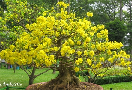 Đảng ủy, Ban Chủ nhiệm Cục Chính trị Quân khu 7 
​Kính báo