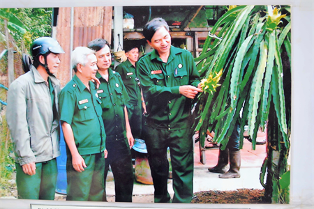 Cựu chiến binh tỉnh Tây Ninh góp sức xây dựng quê hương giàu đẹp