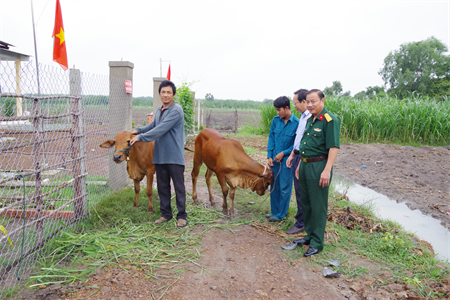 Trao tặng bò giống sinh sản hỗ trợ các gia đình trong điểm dân cư