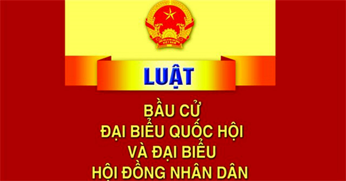 Bị xử lý có hành vi vi phạm pháp luật về bầu cử đại biểu Quốc hội và đại biểu Hội đồng nhân dân