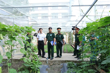 Ban CHQS huyện Bàu Bàng tổ chức hội thi “Trụ sở chính quy, xanh - sạch - đẹp” gắn với tăng gia sản xuất