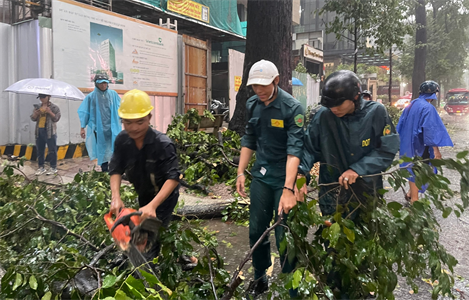 Dân quân thường trực phường Võ Thị Sáu, Quận 3 khắc phục sự cố cây xanh gãy đổ trong mưa