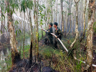 Ban Chỉ huy Quân sự huyện Thạnh Hóa giúp dân chữa cháy rừng
