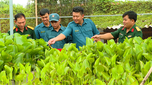 Sắc xanh Hưng Định