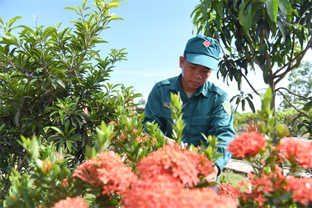 Màu xanh trên chốt dân quân thường trực biên giới