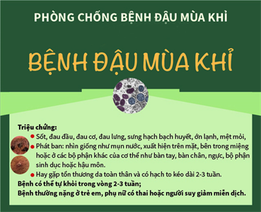 Những triệu chứng điển hình của bệnh đậu mùa khỉ