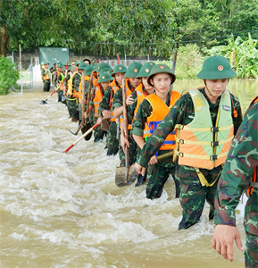 Thương miền Bắc