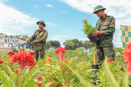 Bộ đội trồng hoa đón Tết