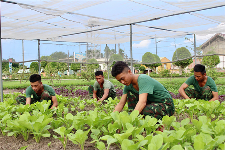 Đại đội 3, Tiểu đoàn 1, Lữ đoàn 77 chủ động, sáng tạo trong công tác tăng gia sản xuất