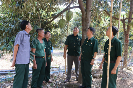 Hội Cựu chiến binh tỉnh Đồng Nai hoàn thành tốt nhiệm vụ công tác hội giữa nhiệm kỳ 2022 - 2027