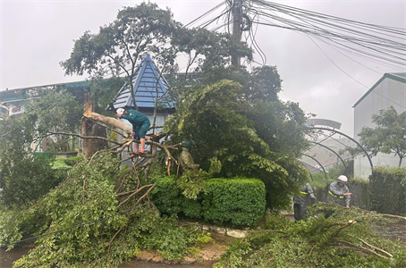 Cán bộ, chiến sĩ Ban Chỉ huy Phòng thủ khu vực 3 - Bảo Lâm giúp dân khắc phục hậu quả mưa bão
