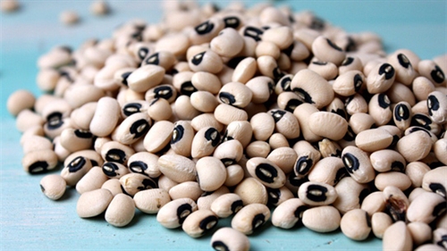 Các loại thức ăn chứa đạm thực vật nhiều nhất