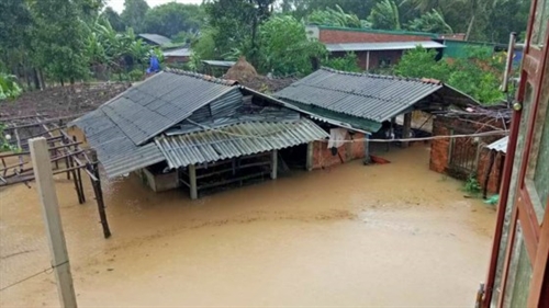 29.700 nhà bị ngập nước, di dời gần 4.500 hộ dân, Quảng Ngãi kiến nghị hỗ trợ 1.500 tấn gạo
