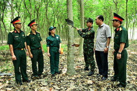 Quân khu 7 và Tập đoàn Công nghiệp Cao su Việt Nam - Mô hình hiệu quả kết hợp kinh tế với quốc phòng (Kỳ 1): Gắn phát triển kinh tế với tăng cường quốc phòng