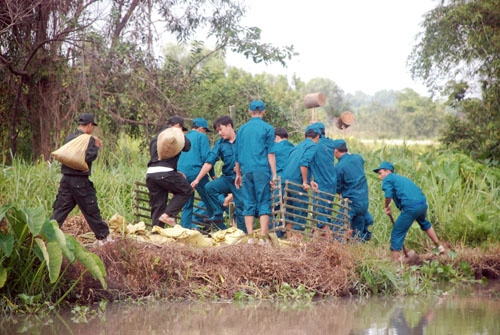 Diễn tập gia cố đê bao